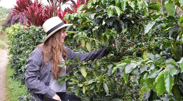 Descubre Jardín, Antioquia: El ‘País de la Belleza’ en su máxima expresión